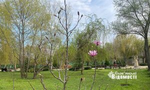 Підтримка довкілля – яка ситуація у Слов’янській громаді