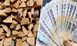 Найближчим часом мешканці прифронтових районів отримають допомогу на опалення