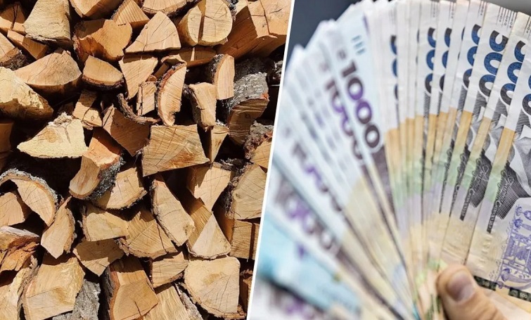 Найближчим часом мешканці прифронтових районів отримають допомогу на опалення