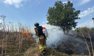 Пожежі в екосистемах Лиманської, Краматорської та Миколаївської громад гасили рятувальники