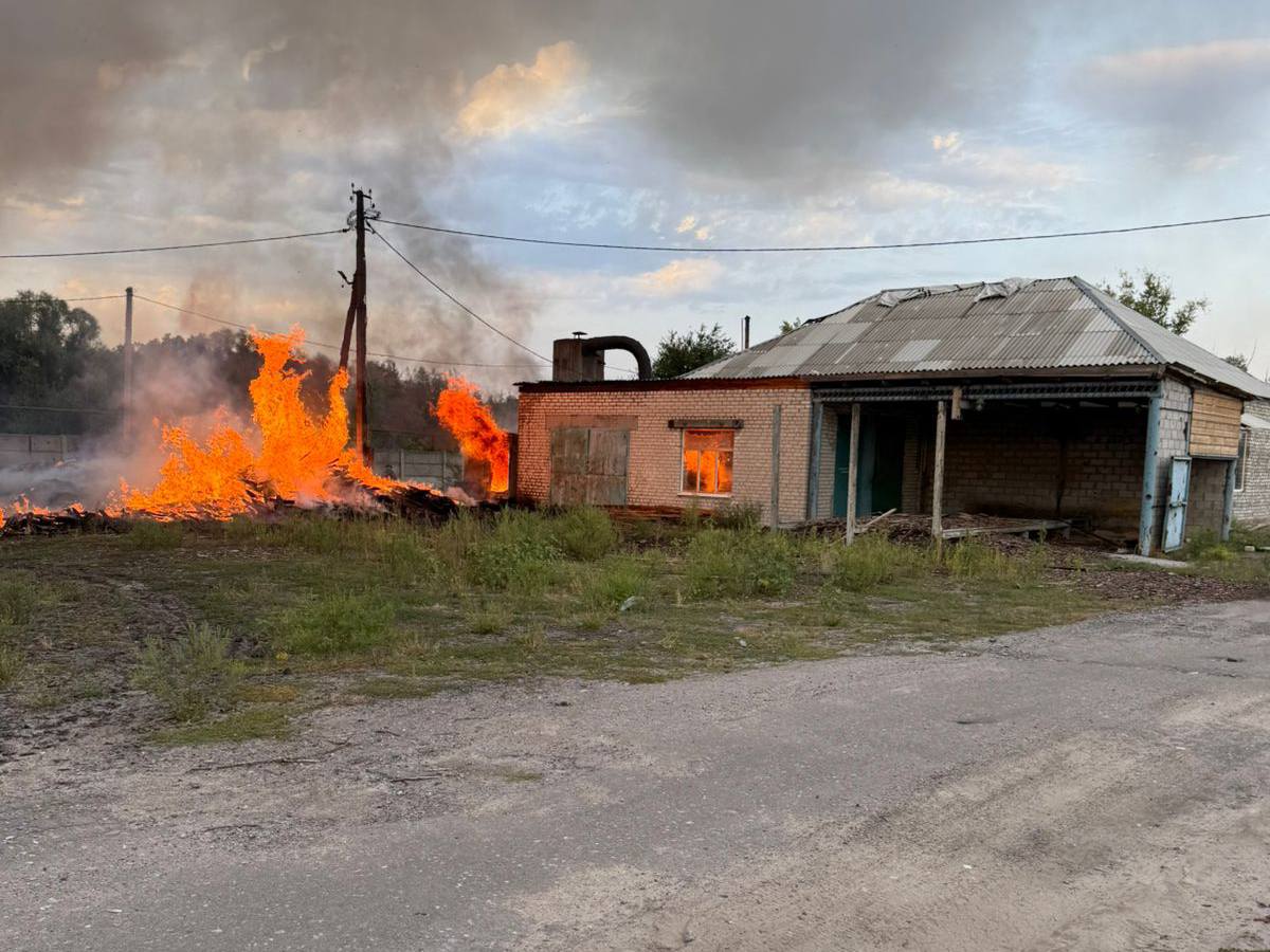 542756758 2268759143597419 7095188988693617466 n