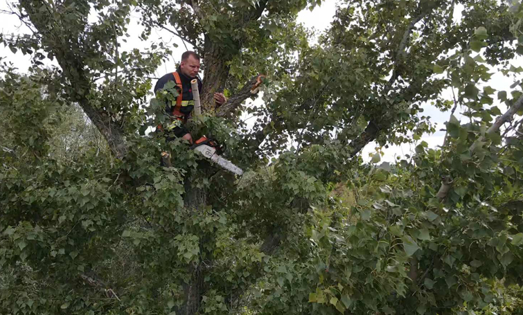 543039917 1097342795845959 4781987793460769869 n