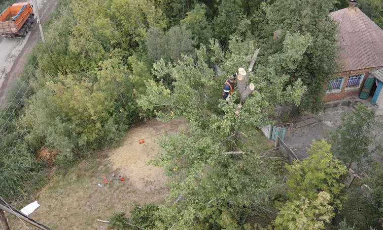 544729025 1097342799179292 4378613866071088740 n