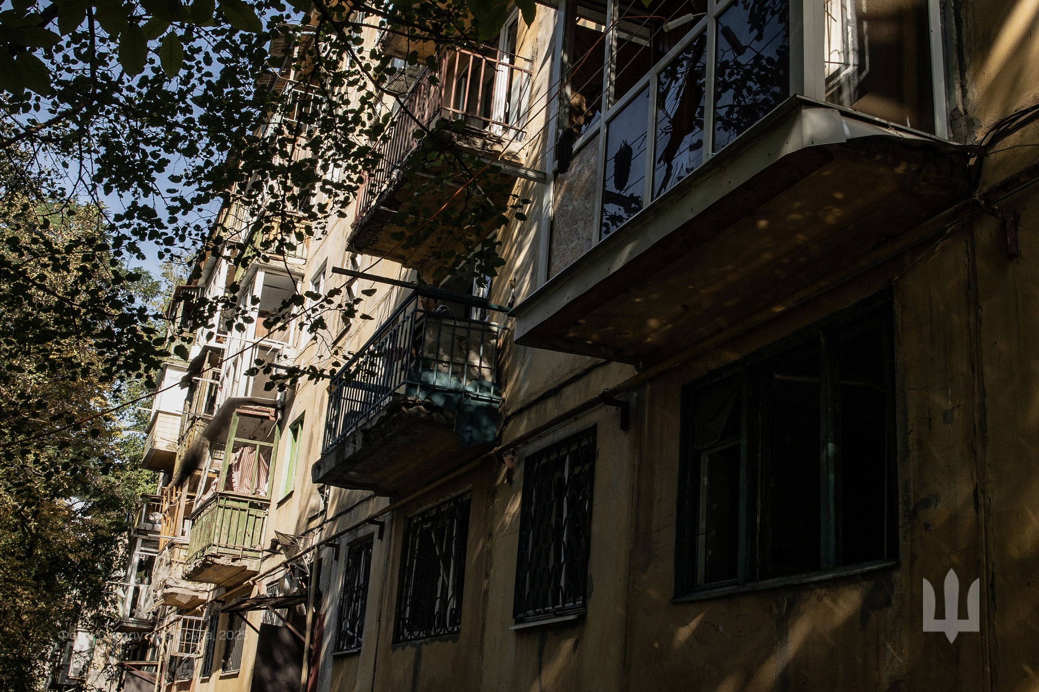 545373218 1133574438874546 6167367304973858738 n