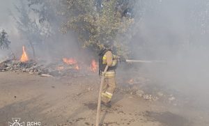 Пожежі в екосистемах продовжують виникати майже щодня