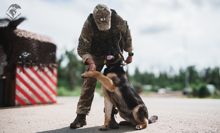 Чотирилапі помічники несуть службу на блокпостах області (фото)