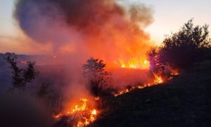 6 пожеж в екосистемах Донеччин вдалося загасити рятувальникам