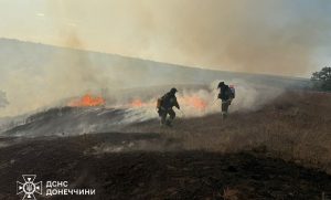 У Національному природному парку «Святі Гори» горіло 3 гектари лісової підстилки