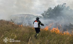 Дві пожежі виникли цієї ночі в Краматорському районі