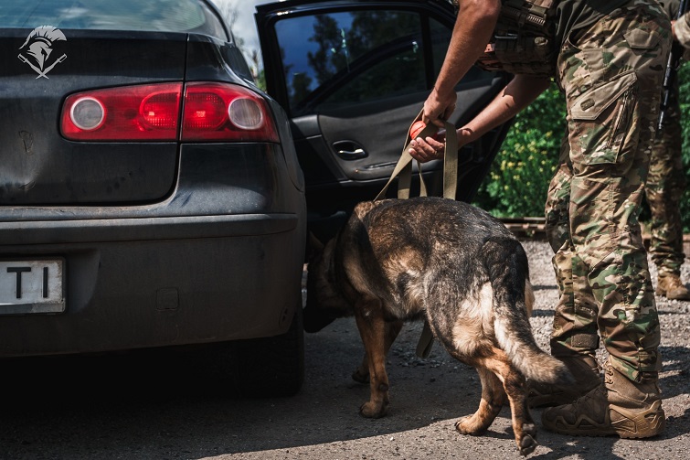 549374234 1119195293723998 5983515720623721685 n