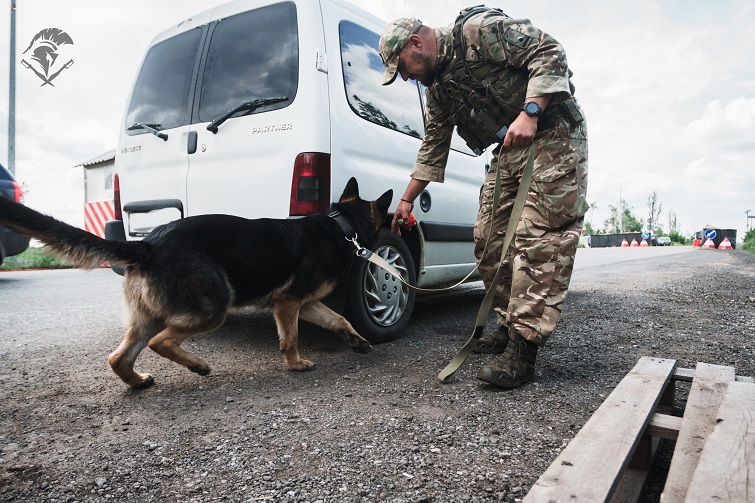 549894893 1119195453723982 2248879472612517627 n