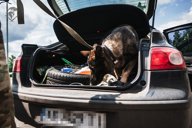 550258781 1119195367057324 4263778294849422191 n