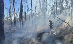 Природа продовжує страждати від пожеж : 13 загорянь на території п’яти громад Краматорського району ліквідували рятувальники за добу