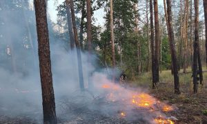 6 пожеж в екосистемах гасили рятувальники області