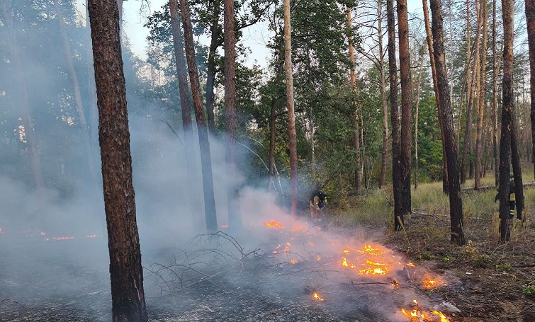 6 пожеж в екосистемах гасили рятувальники області