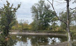 Національний парк “Святі гори” – 6 тисяч гектарів пожеж, збитки на сотні мільярдів