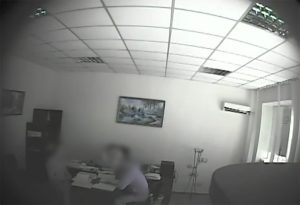 Ексдиректорка Слов’янського лісгоспу відповідатиме за вирубку лісу