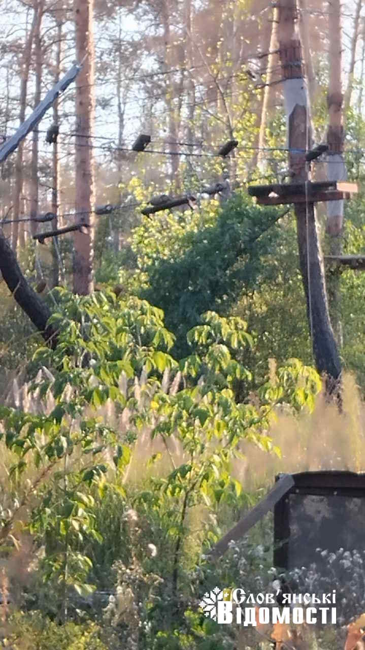 photo 2025 09 17 13 04 20 8