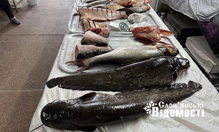 photo 2025 09 23 19 56 56