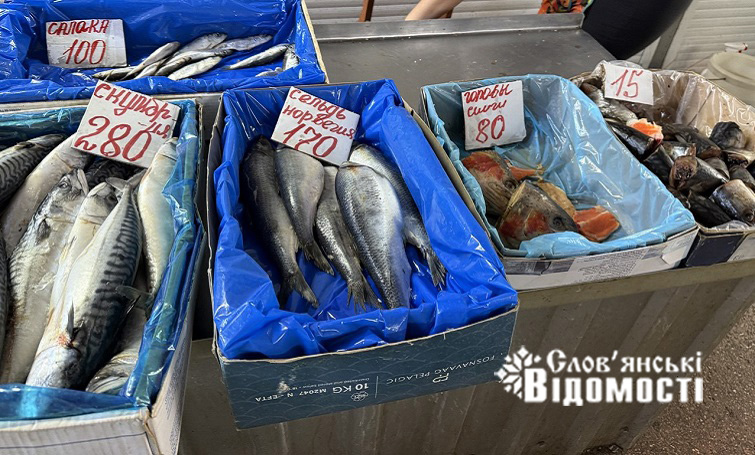 photo 2025 09 23 19 56 56 3