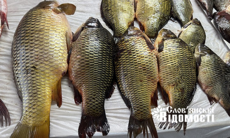 photo 2025 09 23 19 56 56 6