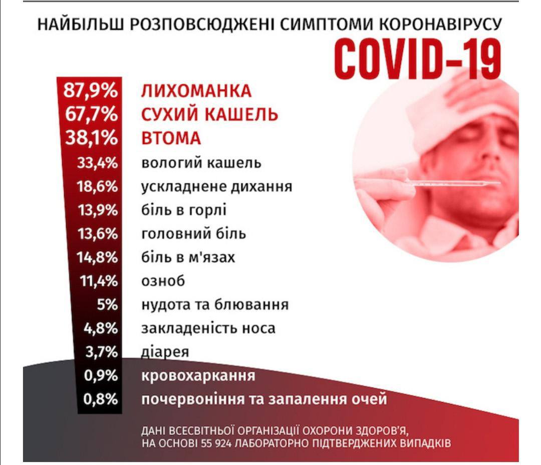 photo 5309956592071998298 y