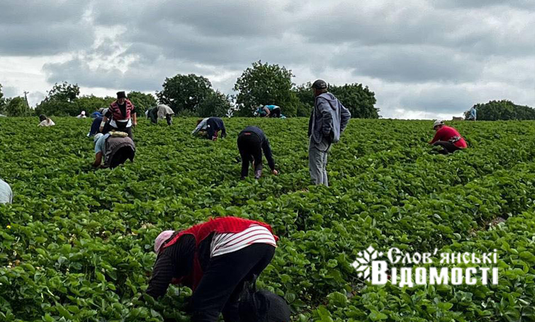 photo 5316897057358869921 y