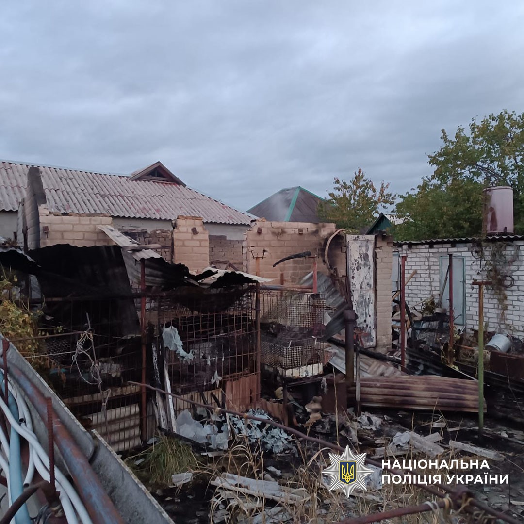 557431587 1101236938829647 3478106051566690656 n