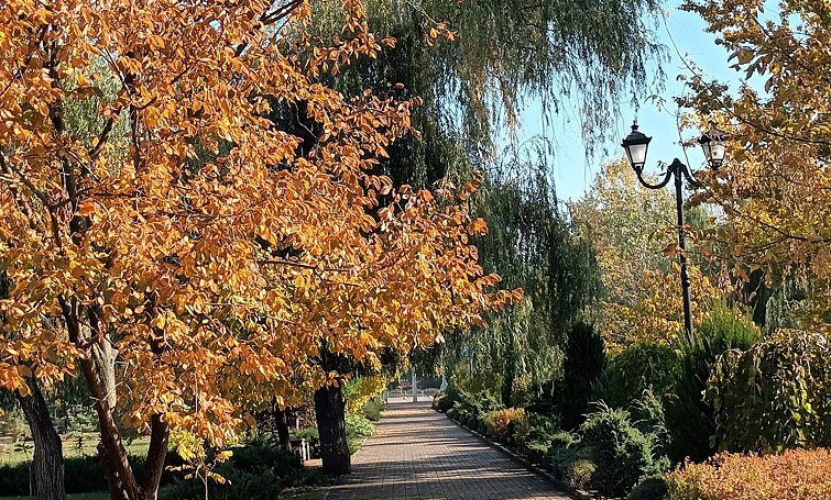 Краса осіннього парку Шовковичний (фото)