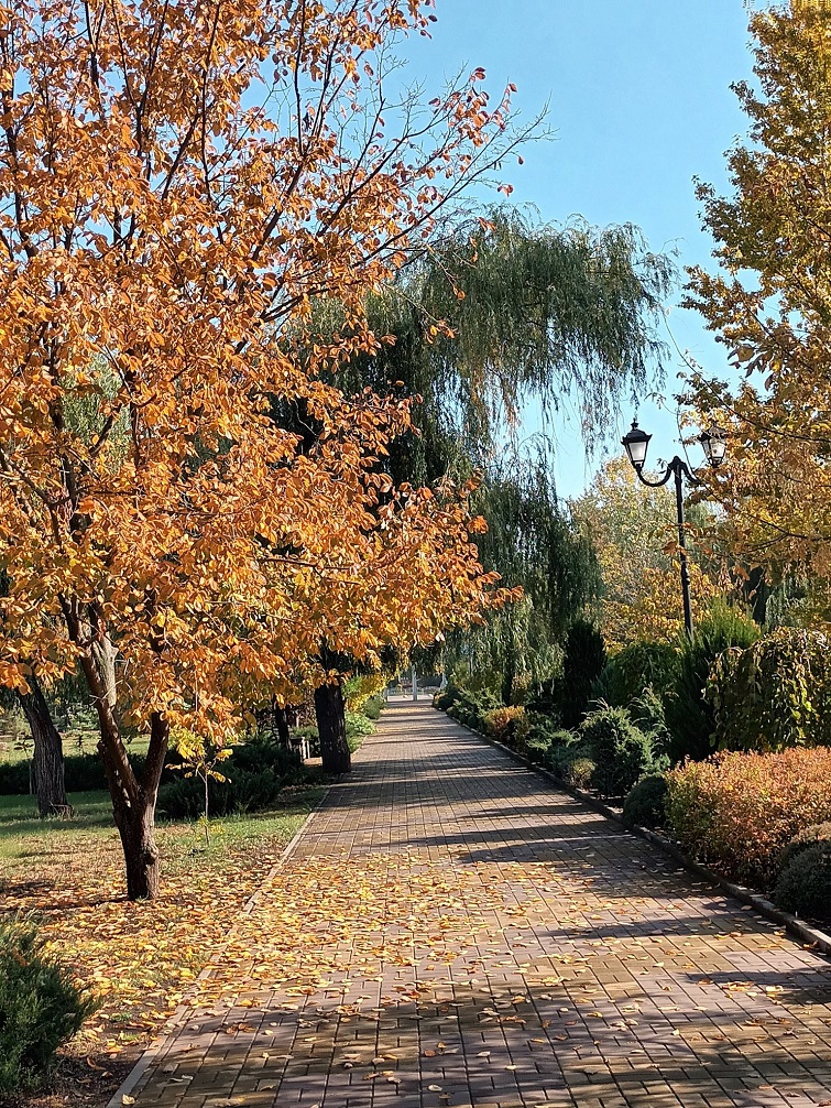 557505586 1876117252978716 4951886067626208045 n 1