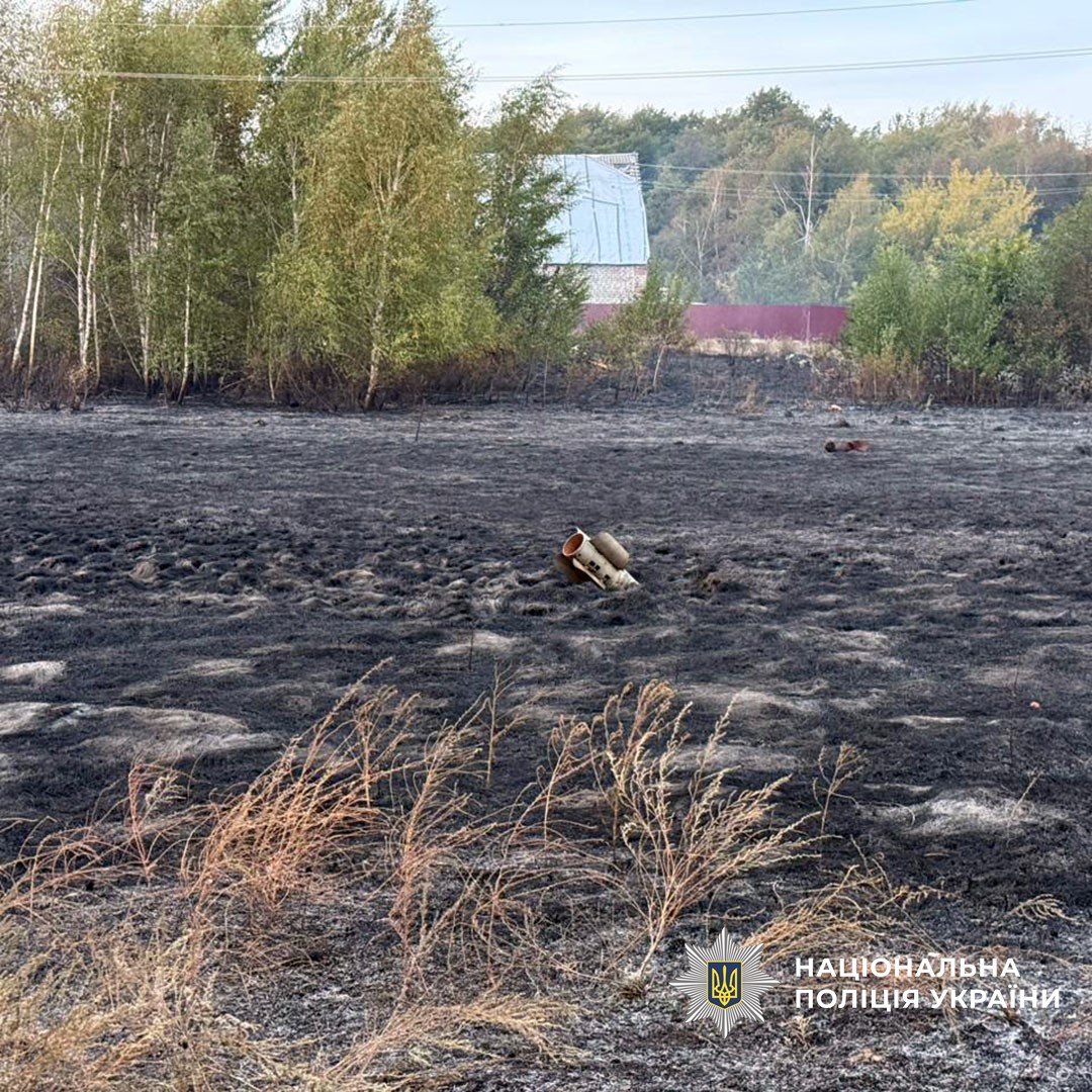 557535406 1099469325673075 3195919691785084322 n