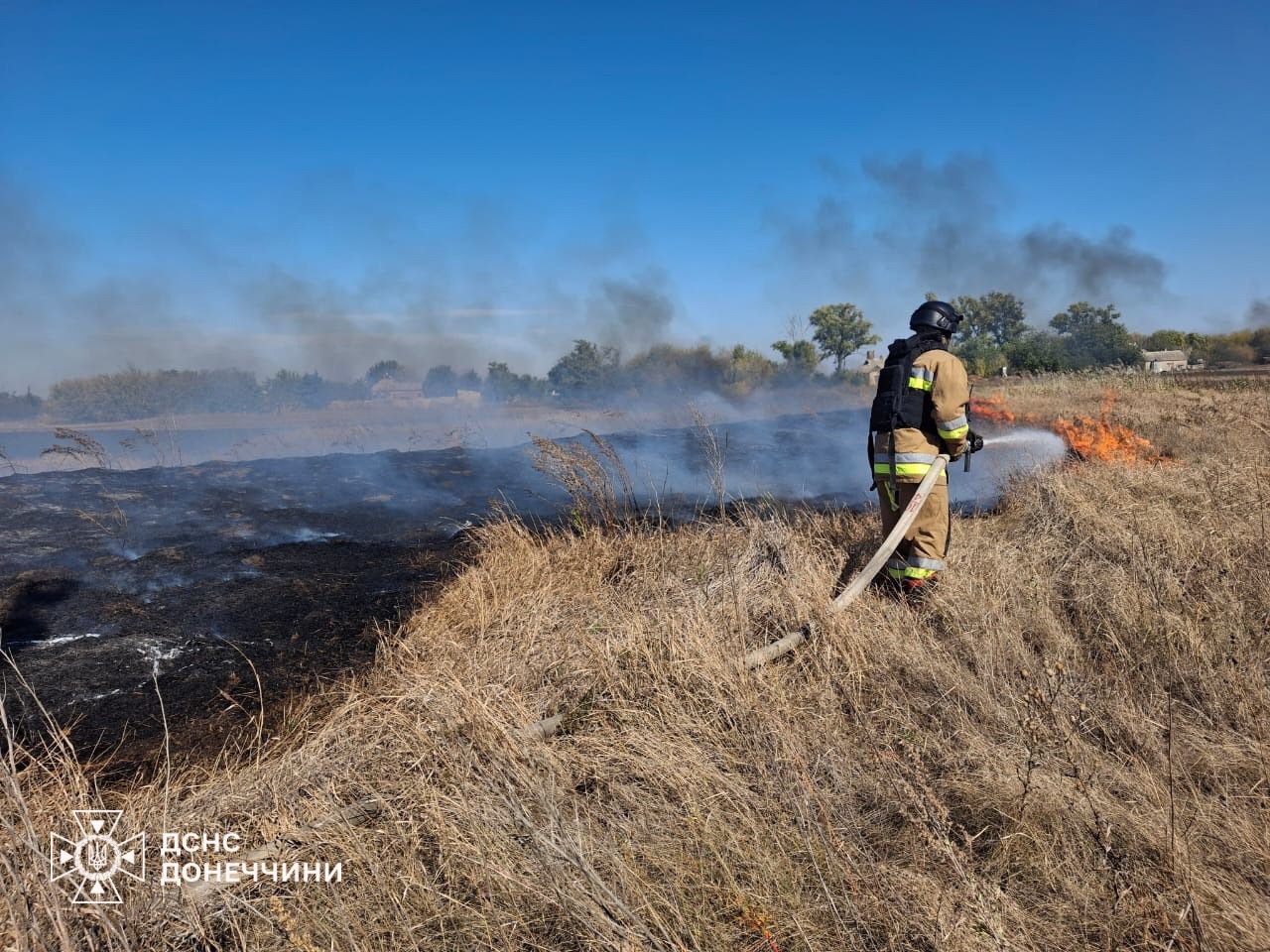 557641615 1229636389205097 2502990882685008076 n