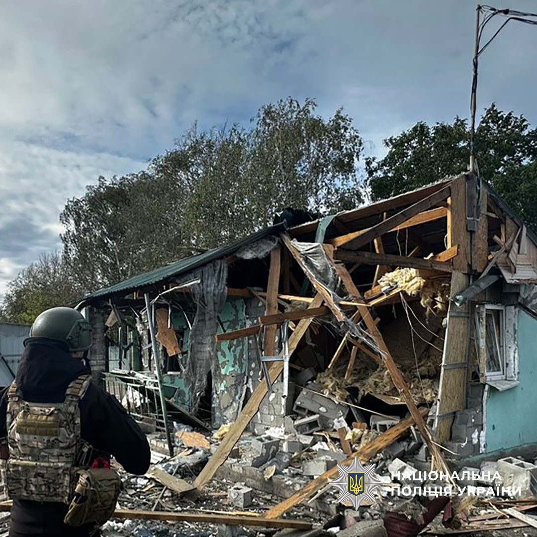 557982483 1098634415756566 2227484258102603167 n