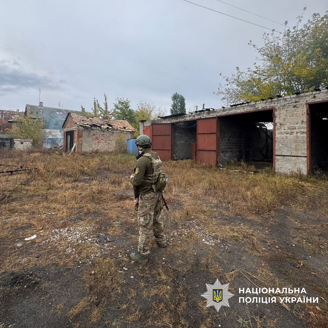 558097546 1102957035324304 8841418175988184128 n