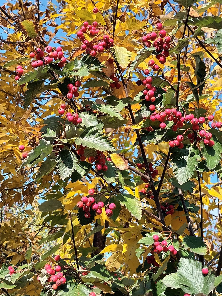 558391371 1876117672978674 8930938376027312438 n