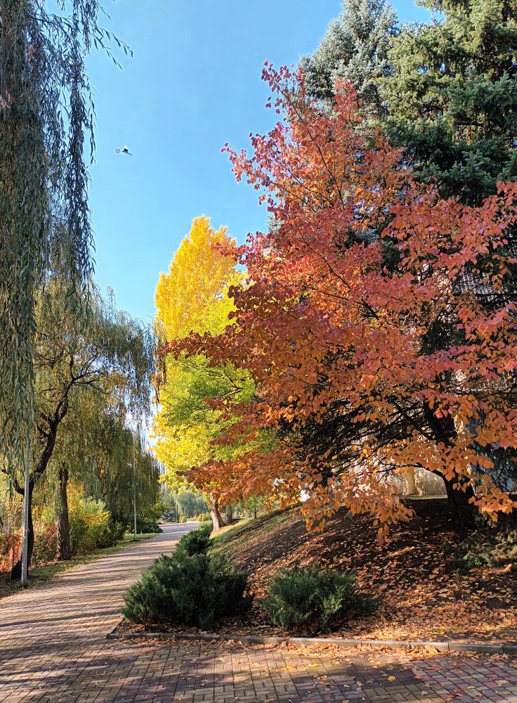 559015129 1876116949645413 249166828525908035 n