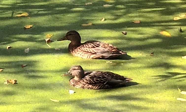 559027049 1876117449645363 1460034201617902499 n