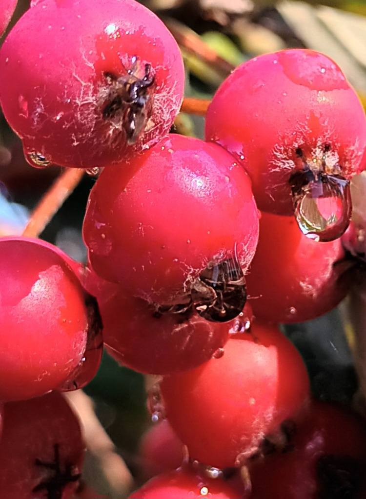 560499984 1876116879645420 2521641939829109413 n