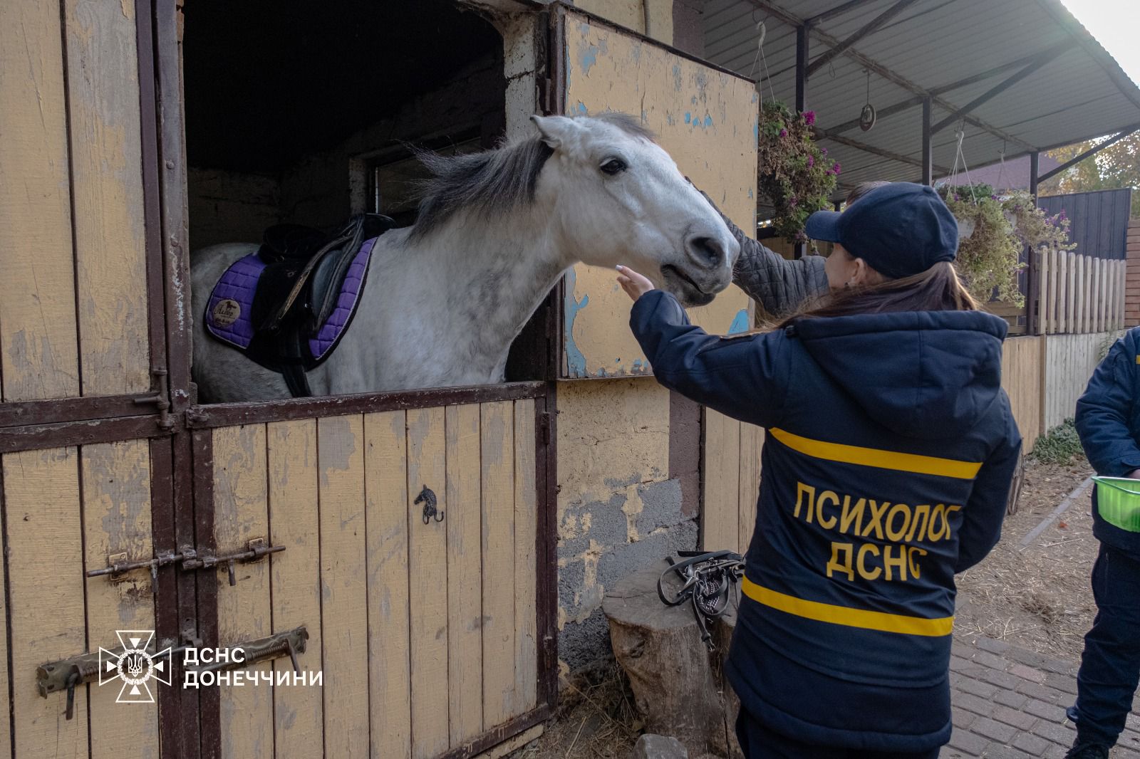 565674754 1243907941111275 2797599561062690421 n