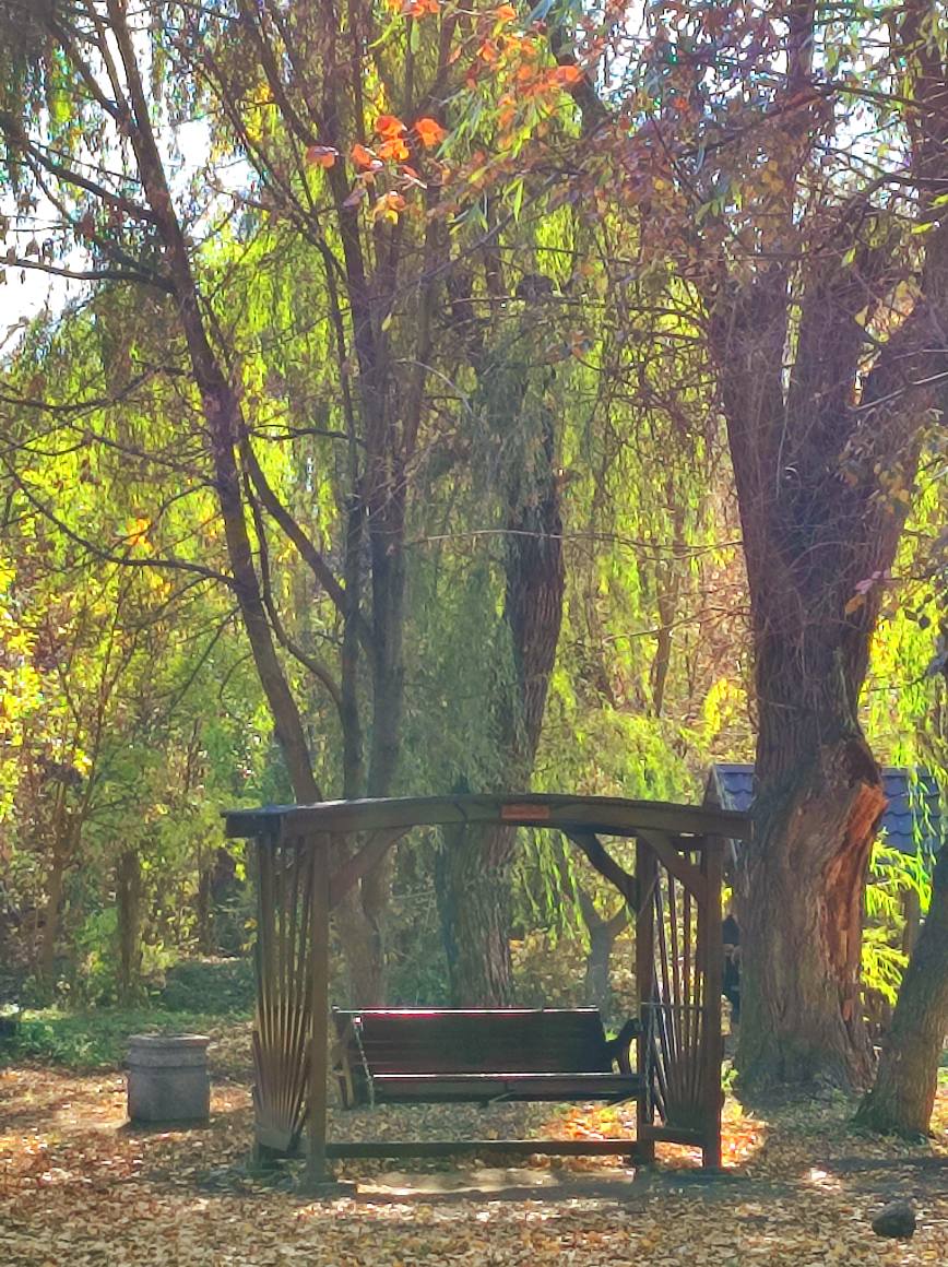 566245103 822757013778679 6500974544645822628 n