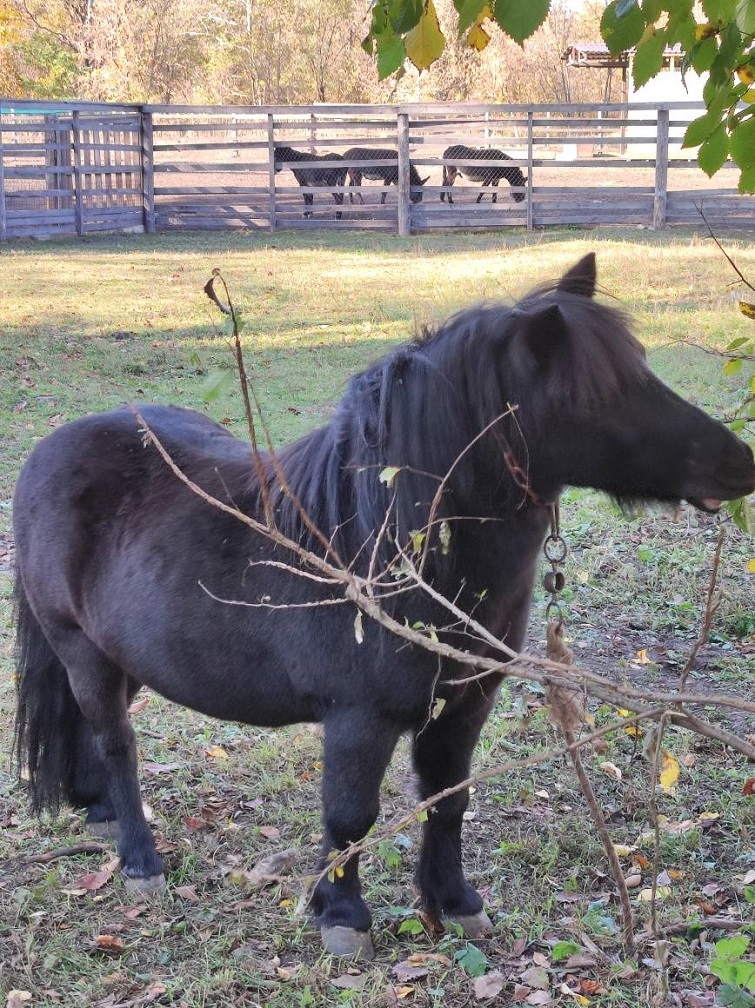 567171467 822756063778774 197915903695006955 n