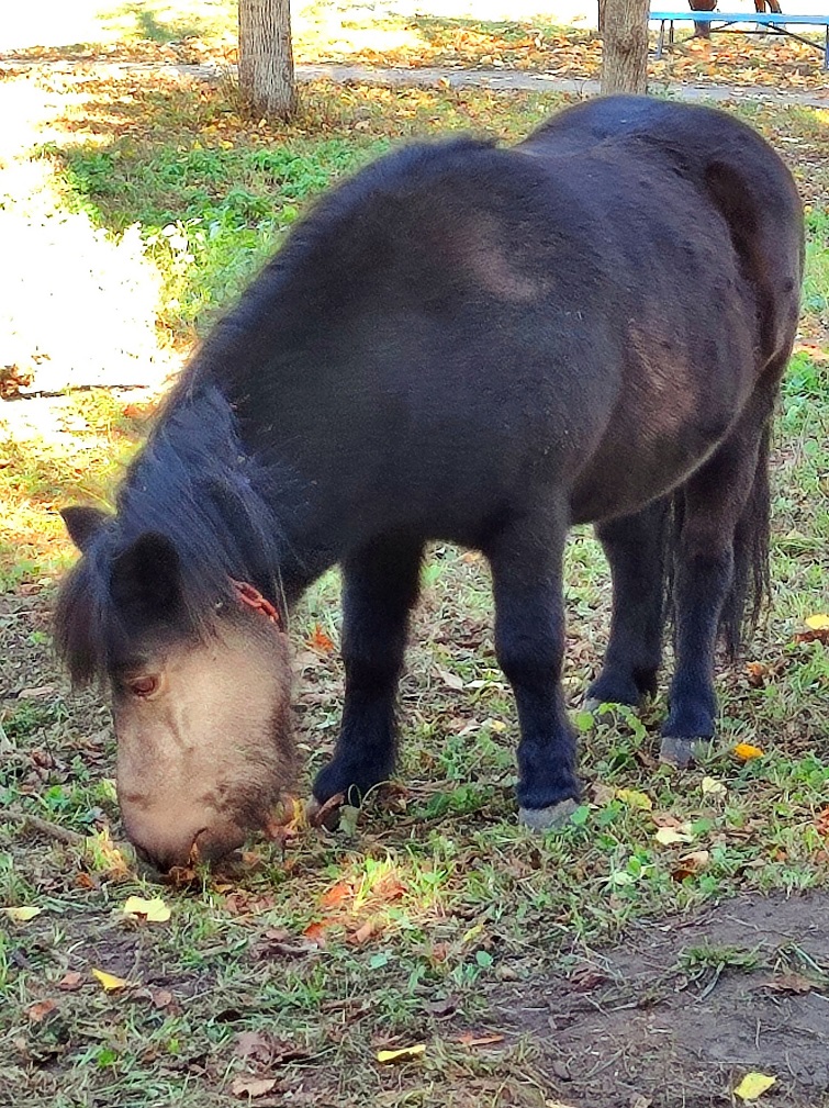 568194540 822758630445184 7177899387206187169 n