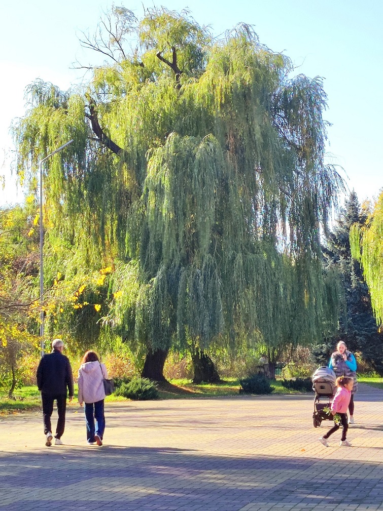 568233915 822758507111863 6122998927786758543 n