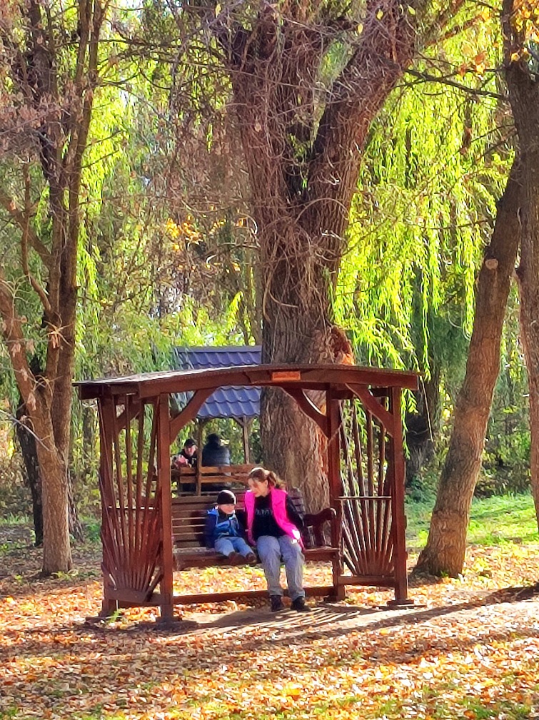 568246634 822759363778444 2383094074289874186 n