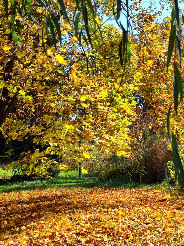 568287814 822756557112058 7272460266442230911 n