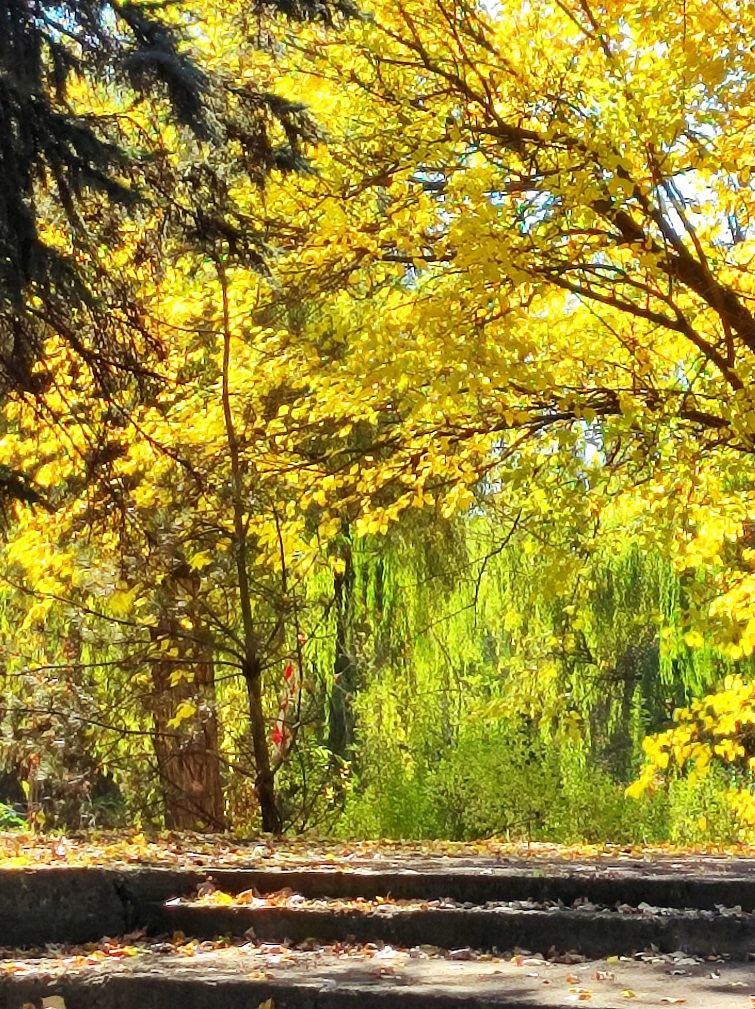 568288915 822758660445181 8632918658294693925 n