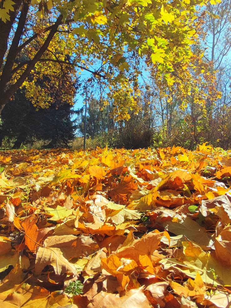 568333729 822756513778729 2061404096871188987 n