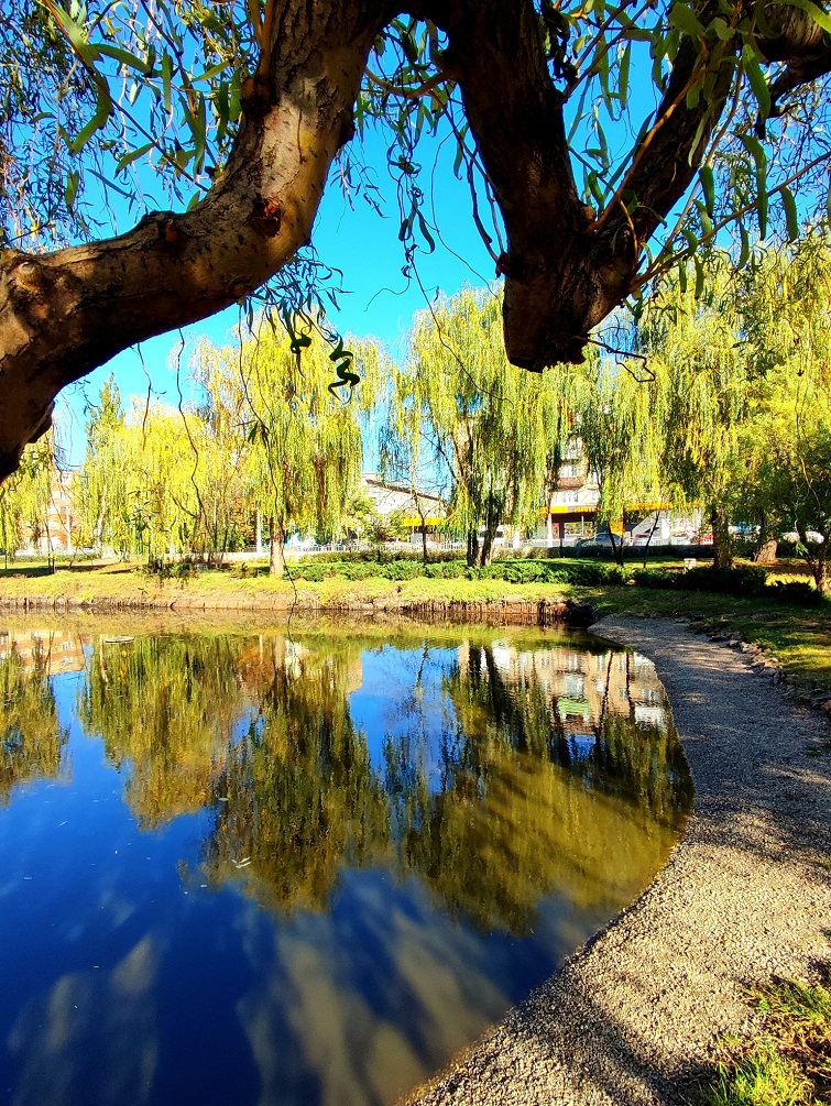 568652268 822758117111902 5166318196681148865 n