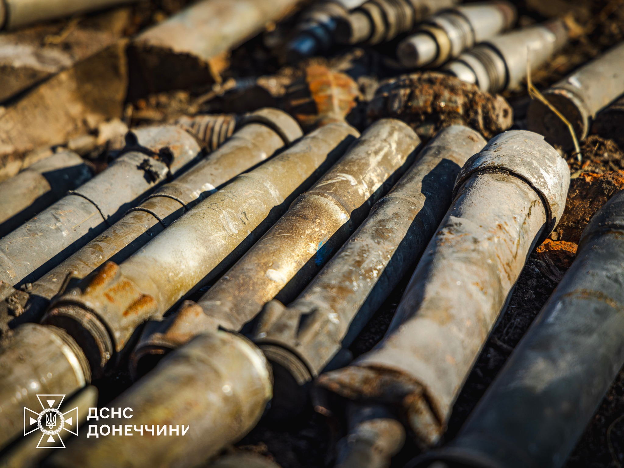 568950288 1247469687421767 4750400217535243348 n