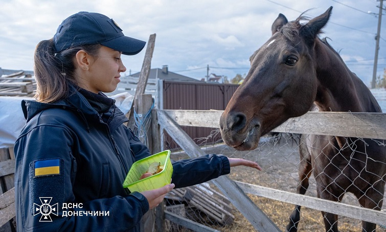 Терапія довіри: як коні допомагають рятувальникам повернути спокій та рівновагу (Фото)